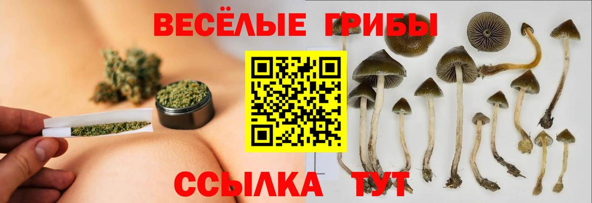 Галлюциногенные грибы Magic Shrooms  Псилоцибиновые грибы прущие грибы  Батайск  Вход с VPN 