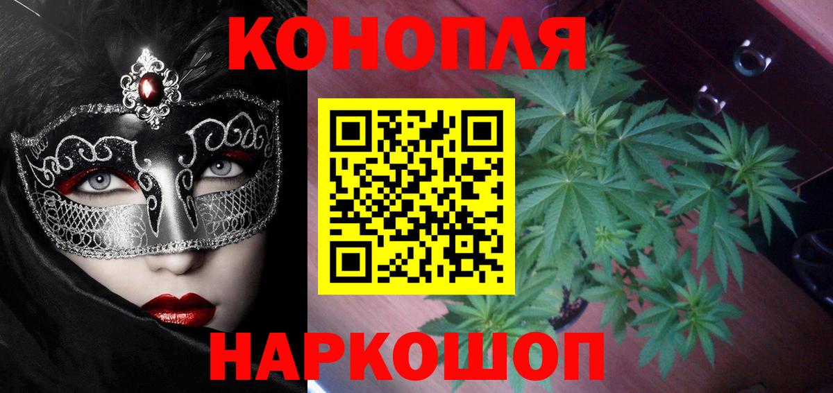 Шишки марихуана план  Вход с VPN  Батайск  Марихуана VHQ  МАРИХУАНА MAZAR 